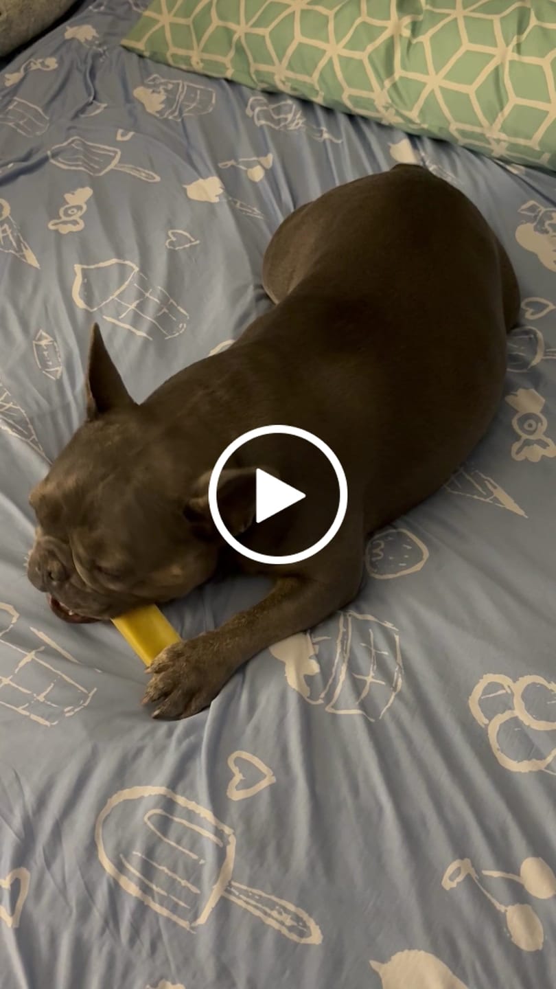 Customer video review of Banana Yak Chew — Rich in Vitamins, Potassium & Energy