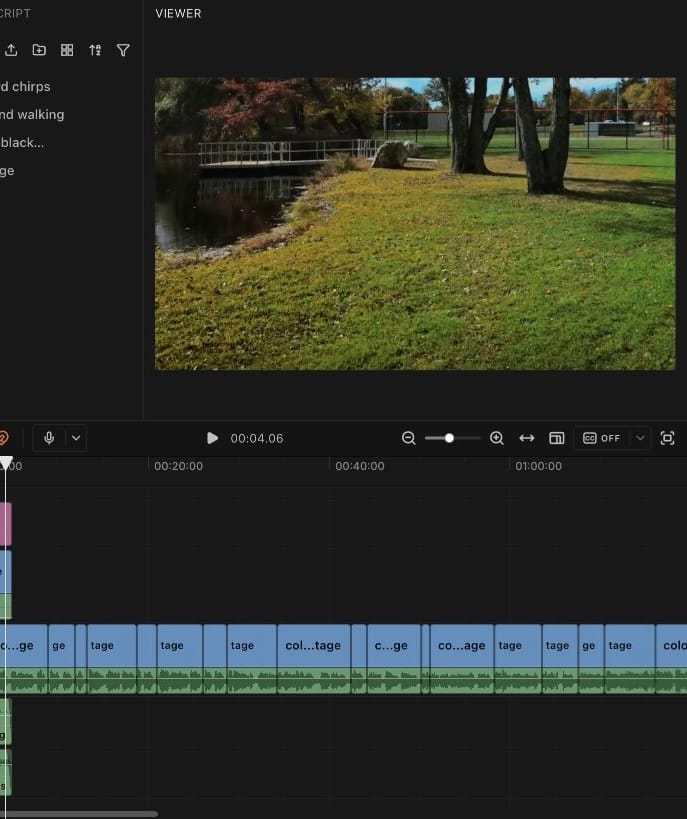 Customer photo review of Osmo Cinematic LUTs