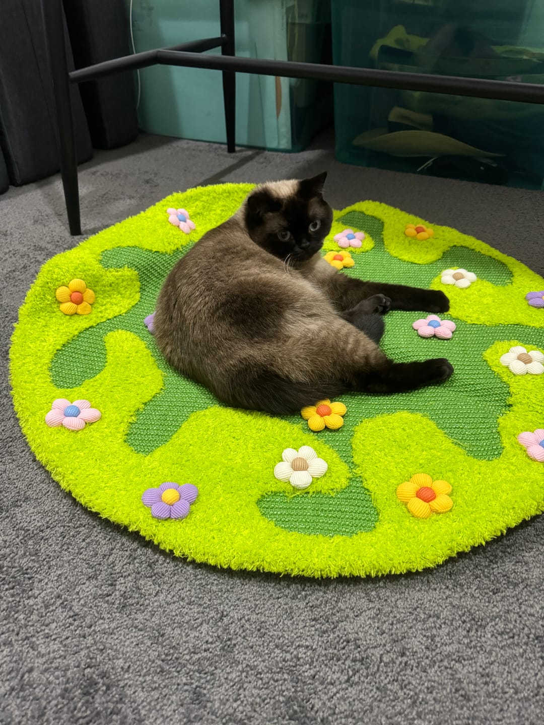 Customer photo review of NUMERI® Flower Meadow Sisal Cat Round Scratching Rug  (81cm)