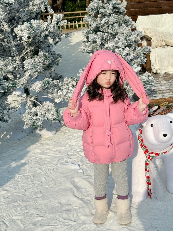 Customer photo review of Dave&Bella Toddler Girls Winter Cute Rabbit-ear Outdoor Waterproof Cozy Down Coats