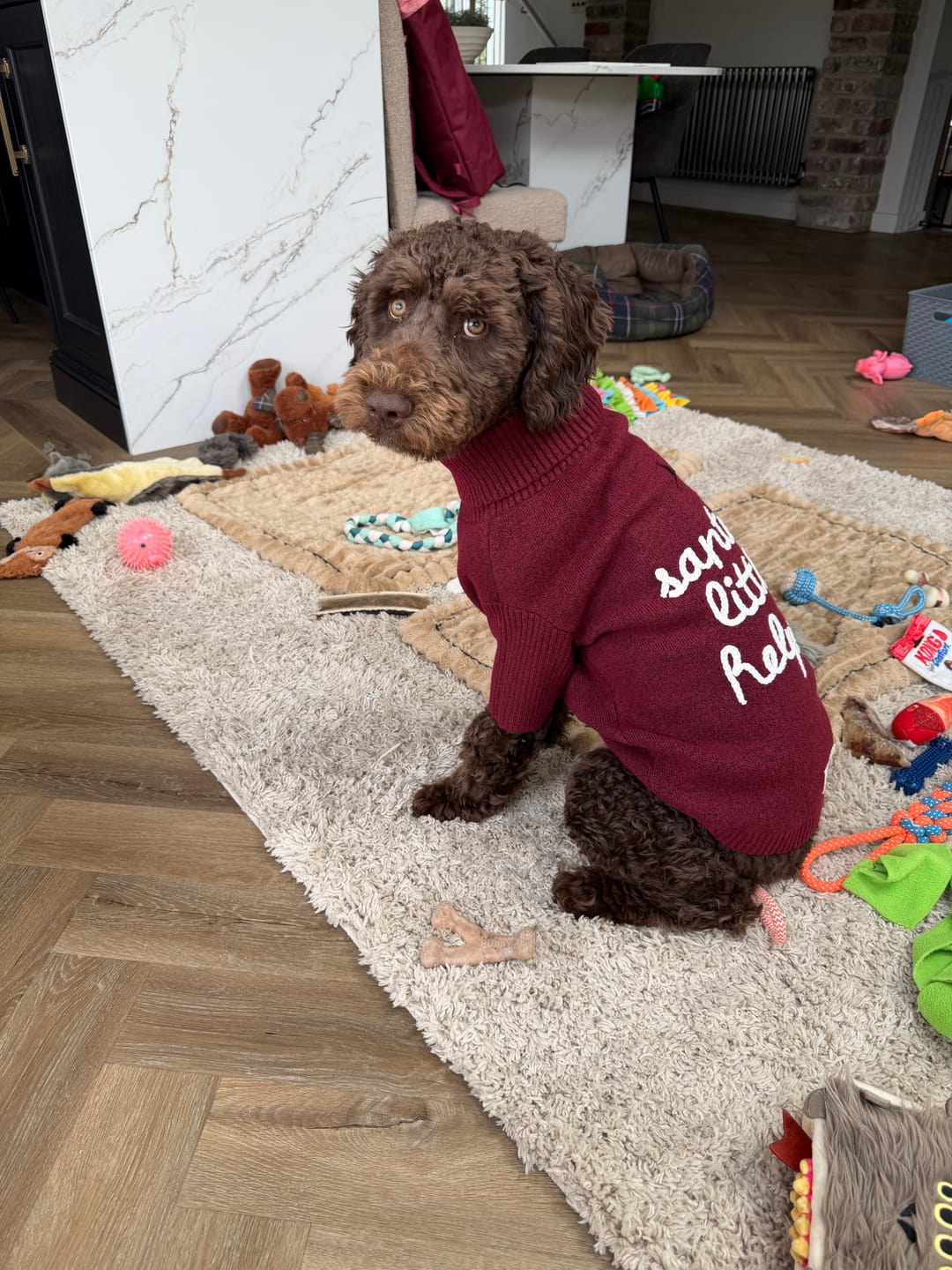 Customer photo review of Santa's Little Helper | Roll Neck Knit
