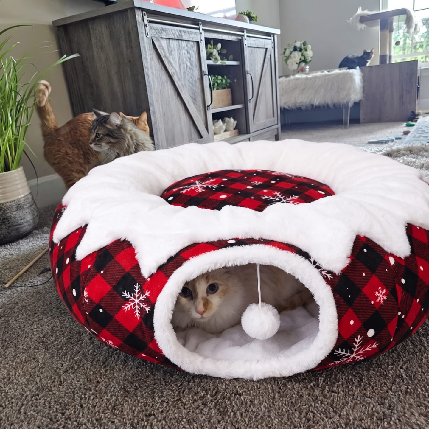 Customer photo review of Cama Túnel para Gato Navidad