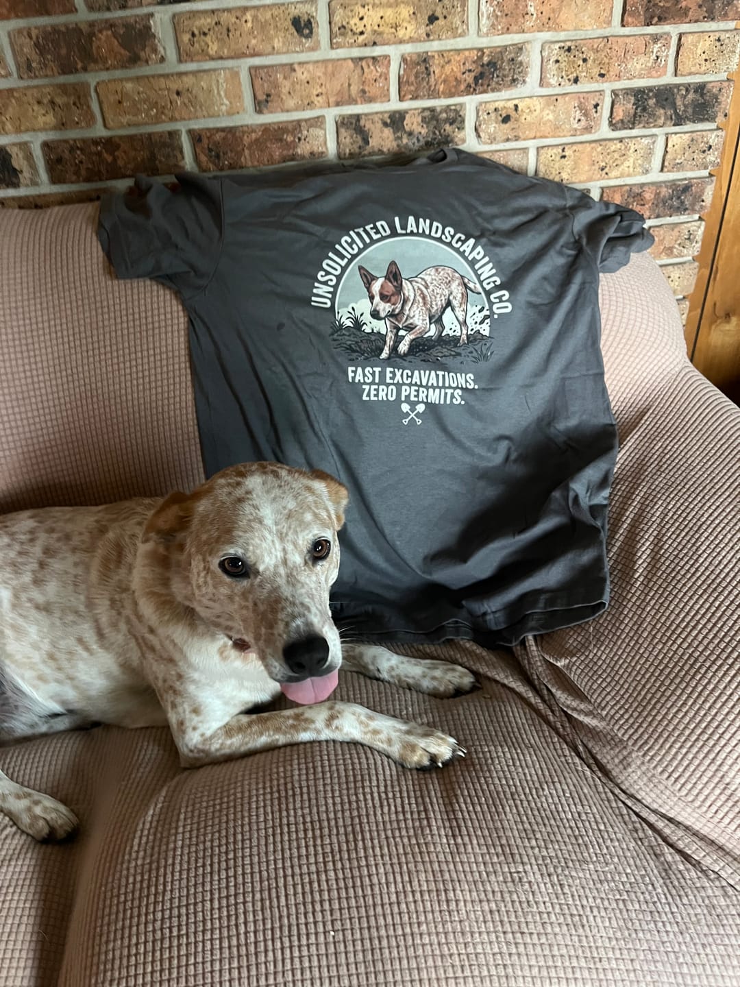 Customer photo review of Unsolicited Landscaping Co Cattle Dog Shirt