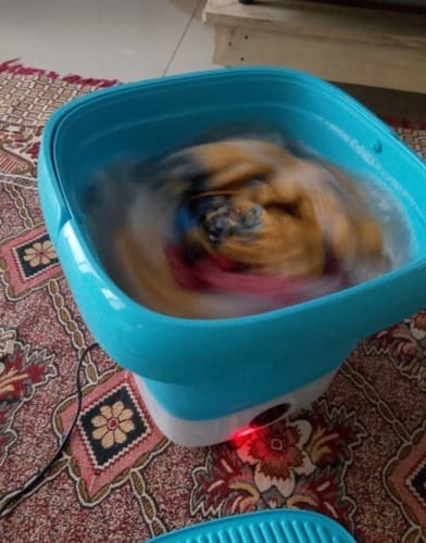 Customer photo review of Mini Portable and Foldable Washing Machine