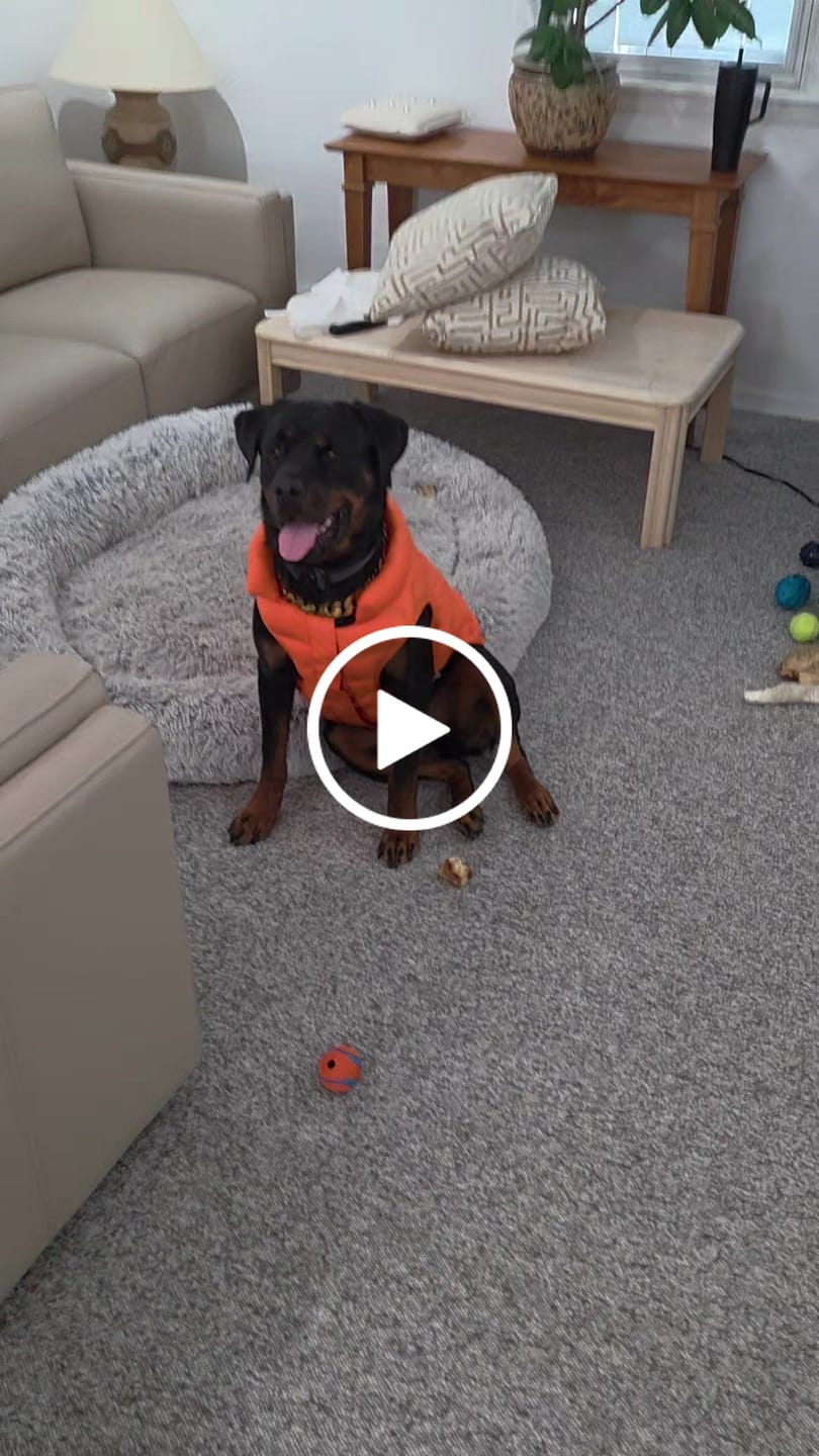 Customer video review of ThermoSonic Winter Jacket - Orange