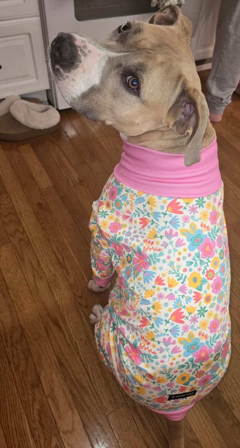 Customer photo review of Dog Pajama Prints