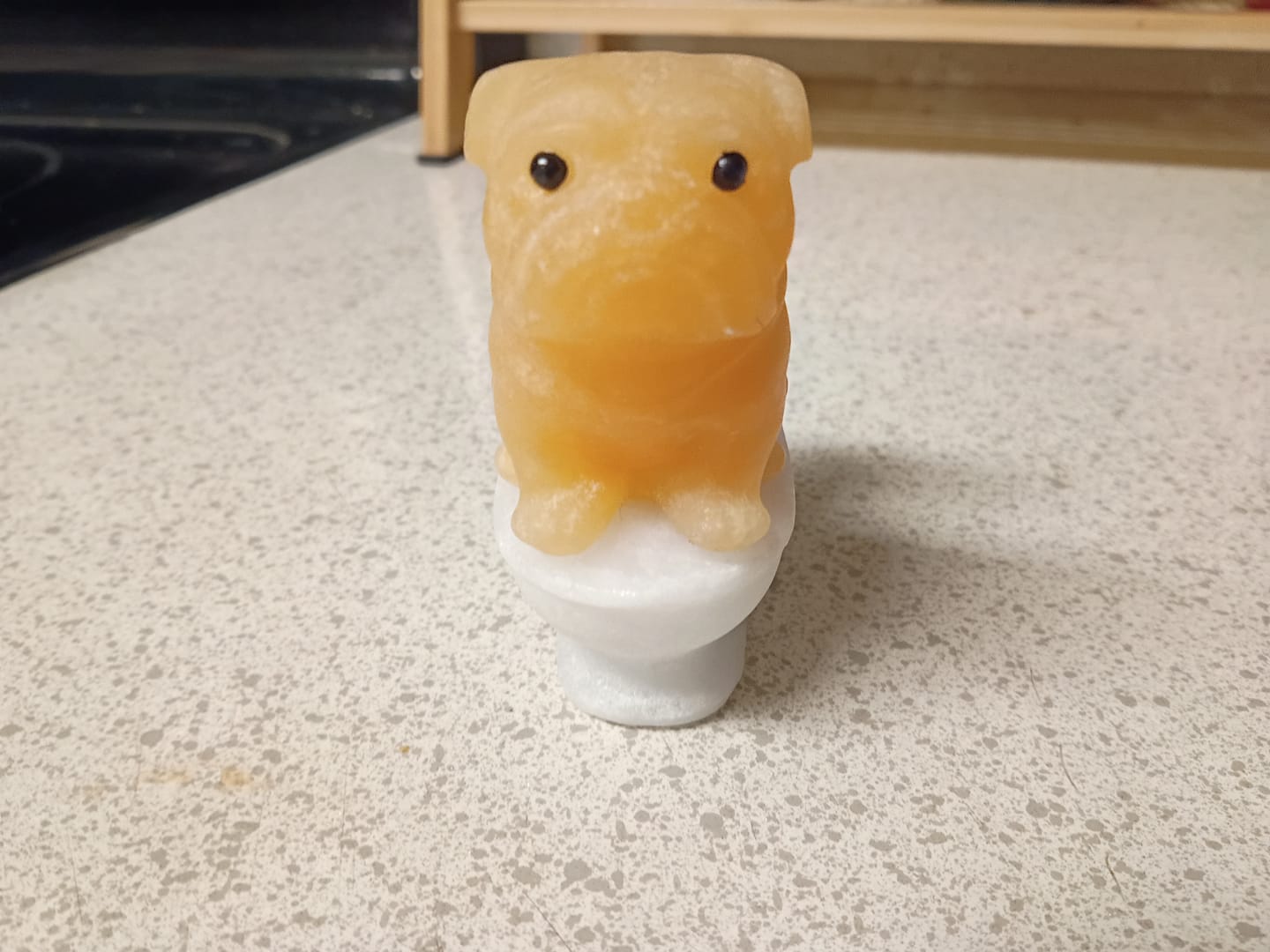 Customer photo review of Natural Crystal Cute Dog On Toilet