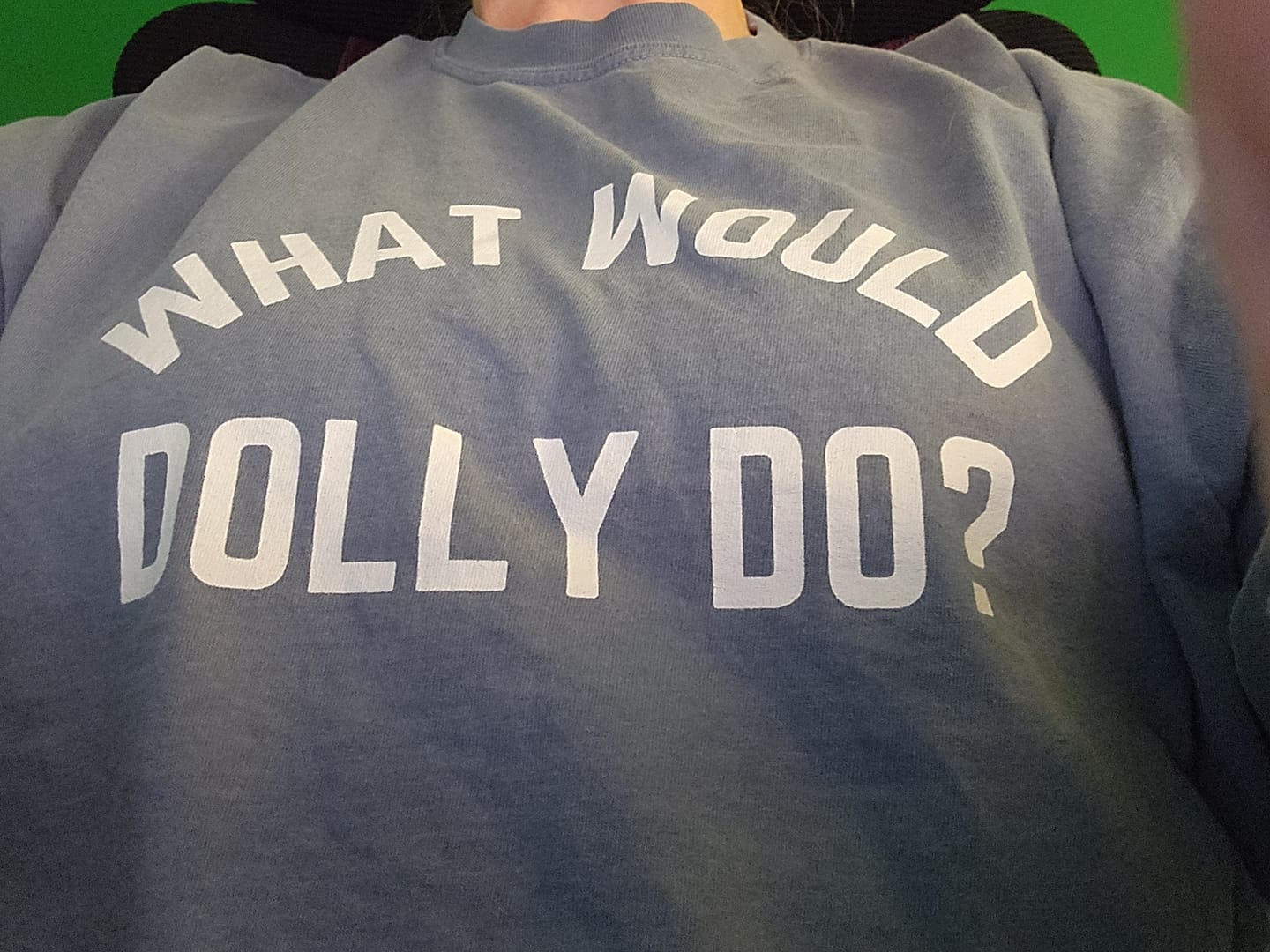 Customer photo review of What Would Dolly Do? Comfort Colors® Heavyweight Long Sleeve Tee