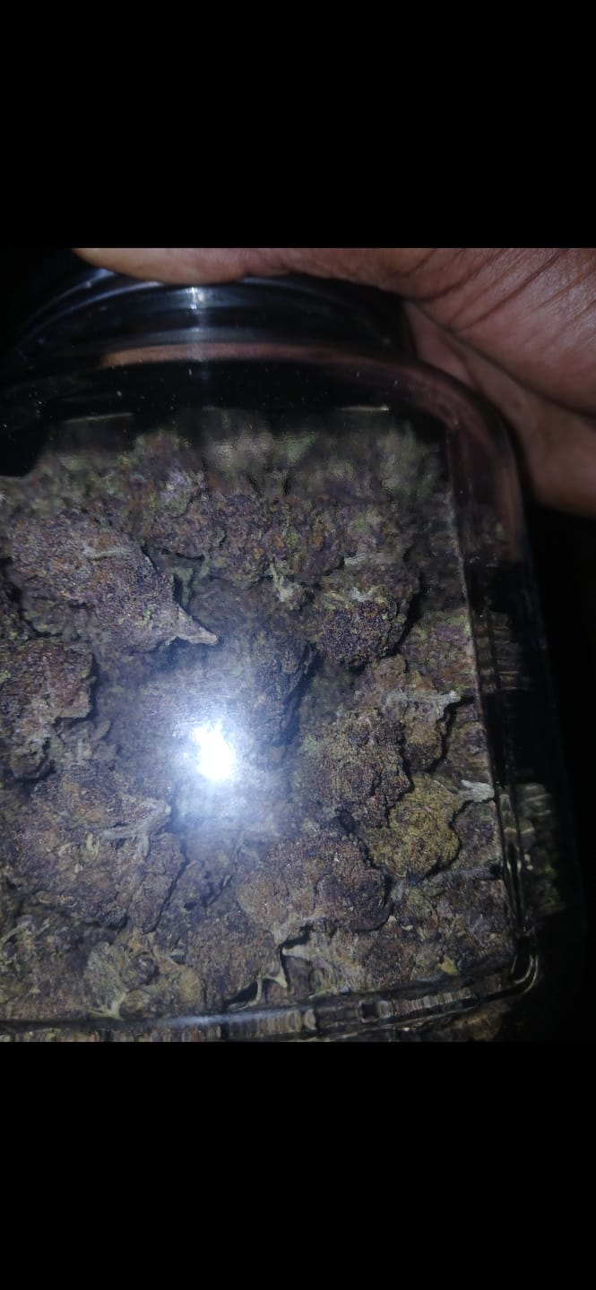 Customer photo review of Tropicana Cherry THCA Flower