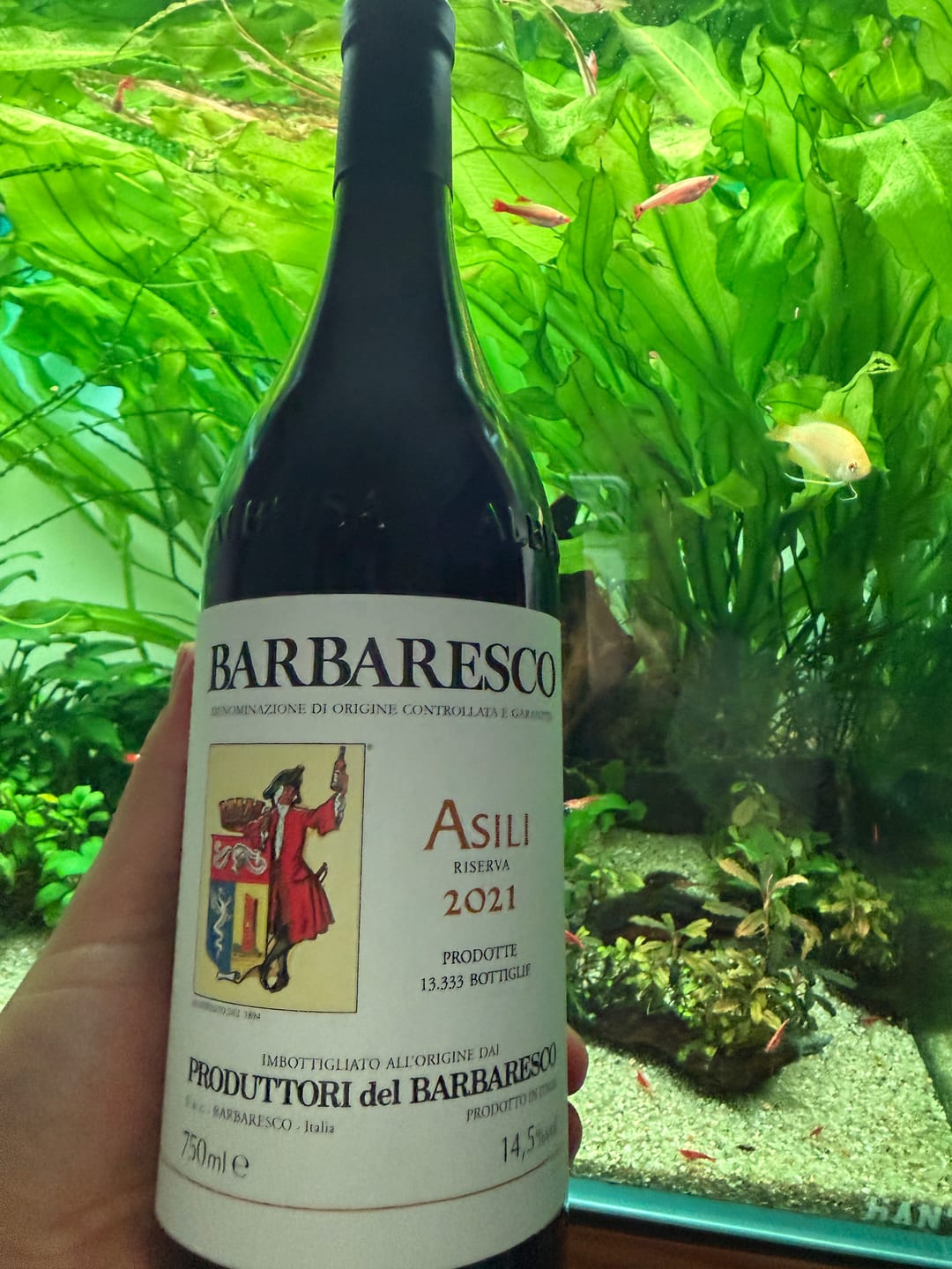 Customer photo review of Produttori del Barbaresco Riserva Asili 2021