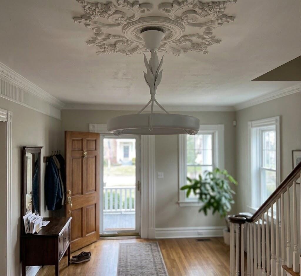 Customer photo review of White Plaster Ceiling Light, Plant Stem Details, Chandelier