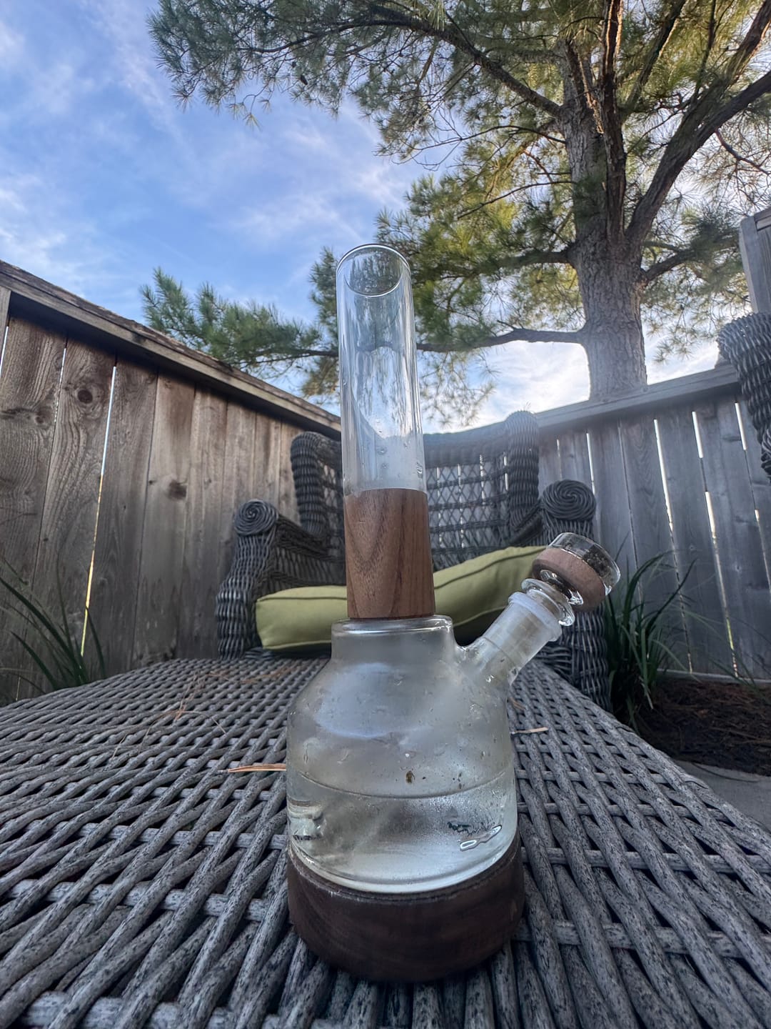 Customer photo review of Palisade Bong