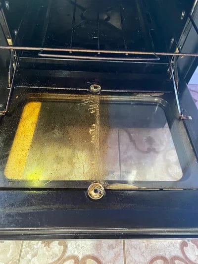 Customer photo review of CleanBo Max ®