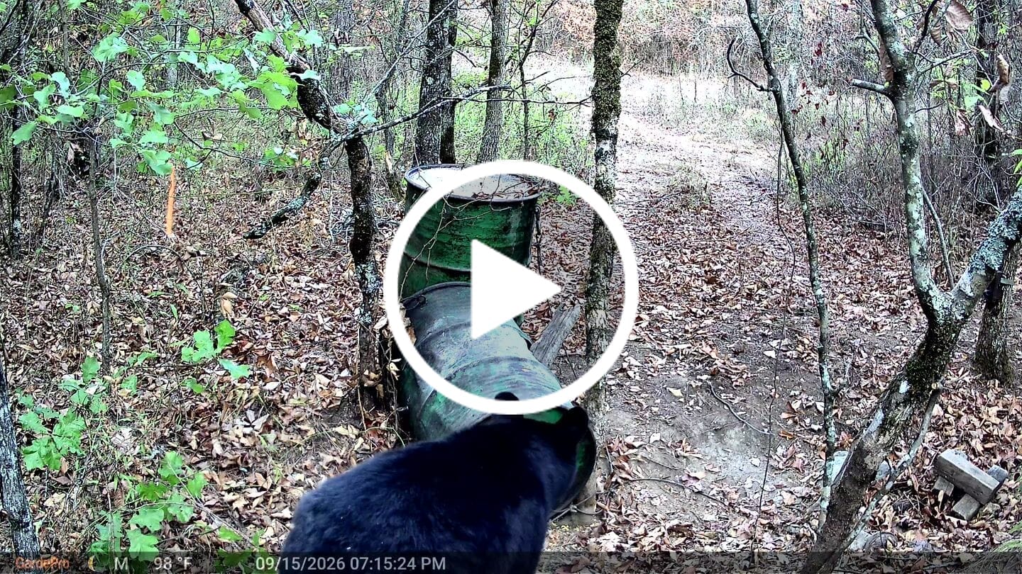 Customer video review of GardePro E8 2.0 Pro Wi-Fi Trail Camera
