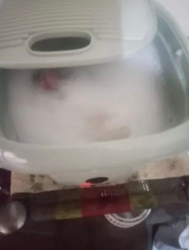 Customer photo review of Mini Portable and Foldable Washing Machine
