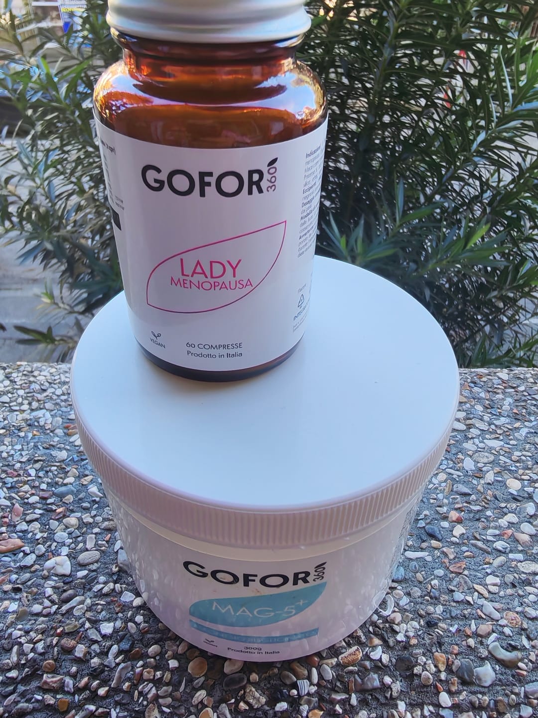 Customer photo review of Lady
