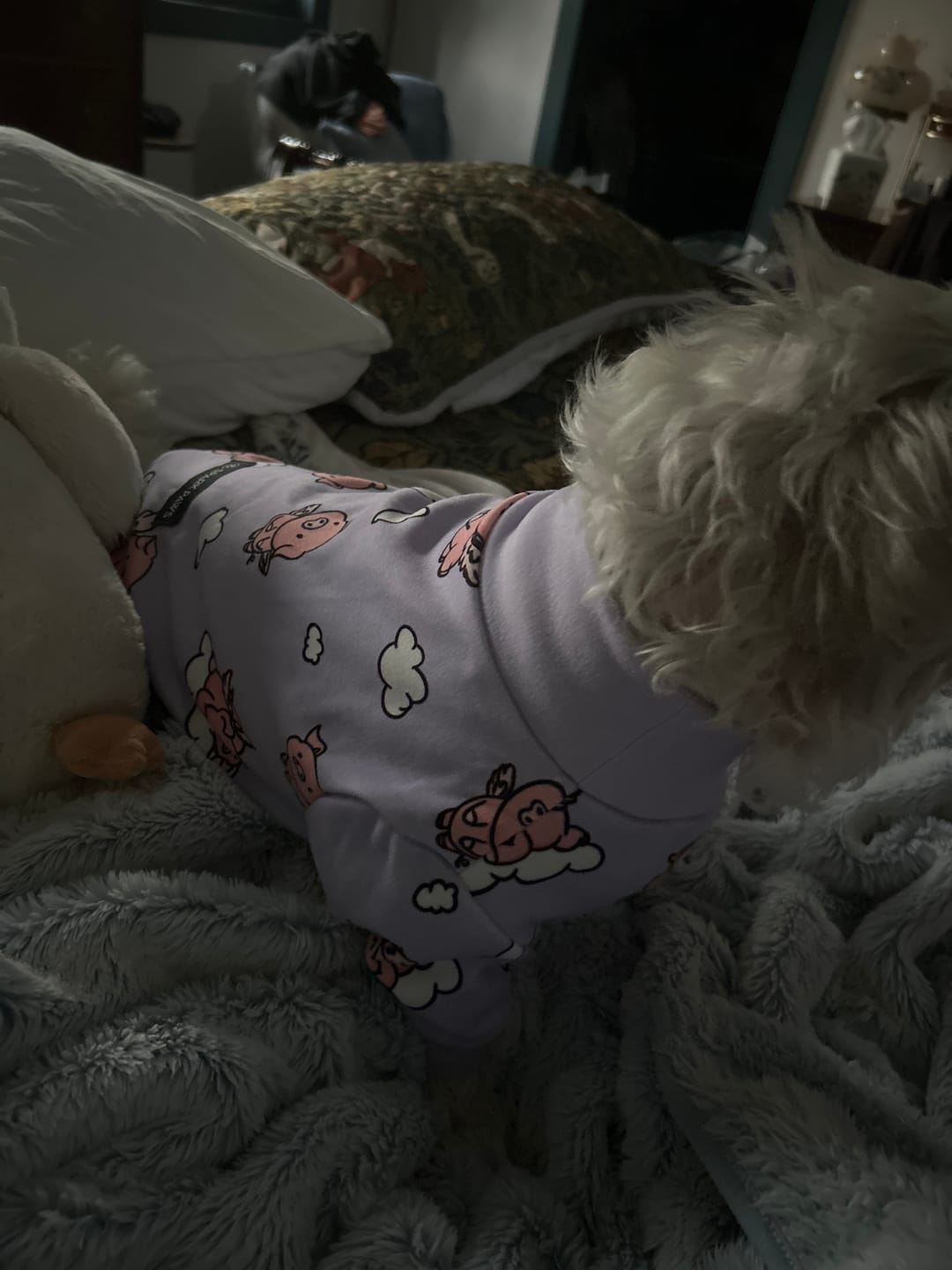 Customer photo review of Dog Christmas Pajama - Reindeers