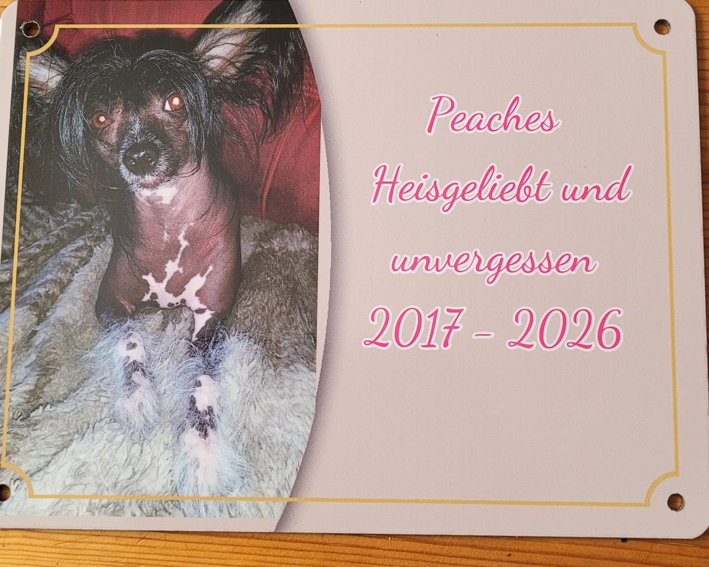 Customer photo review of Hunde-Türschild personalisiert mit Foto & Text (UV- und wetterfest)