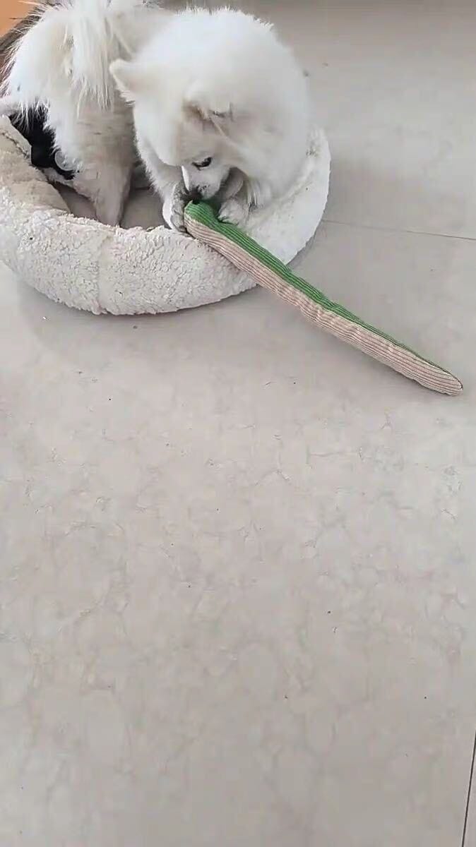 Customer photo review of Calming Snake