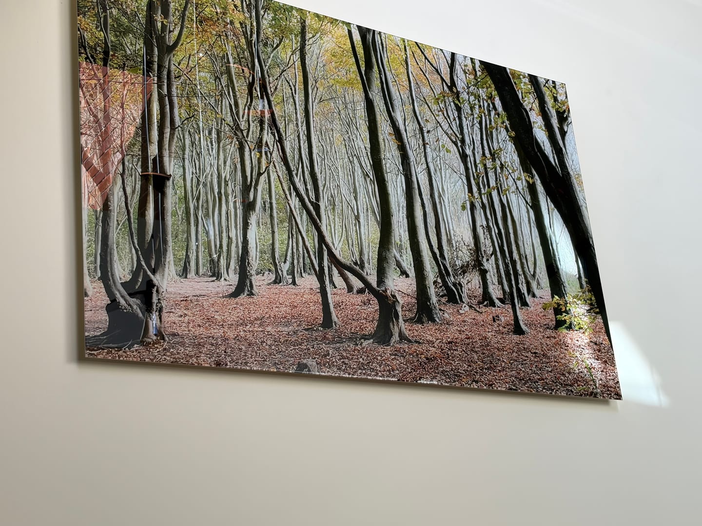 Customer photo review of Custom Glass Print Wall Art