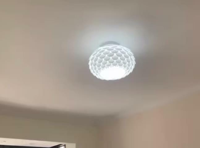 Customer photo review of Fish-Scale Oval Ceiling Light, White Metal Body, Hardwired