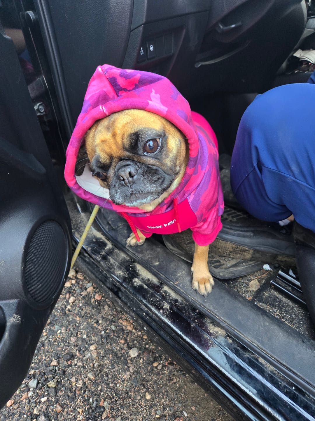Customer photo review of Dog Pajama - Monkey Business