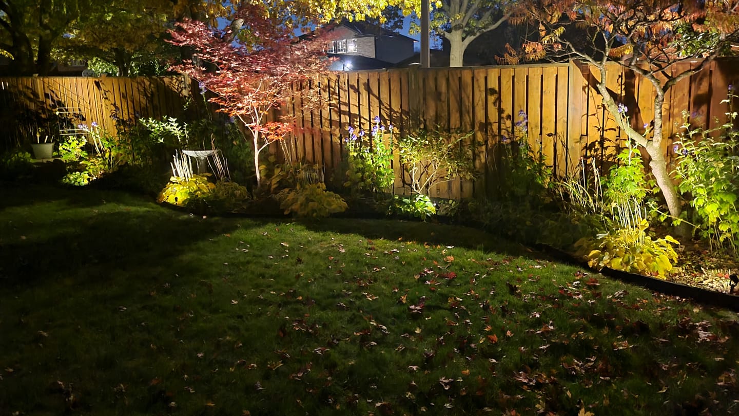 Customer photo review of TSUN Warm White Solar Spot Lights with Separate