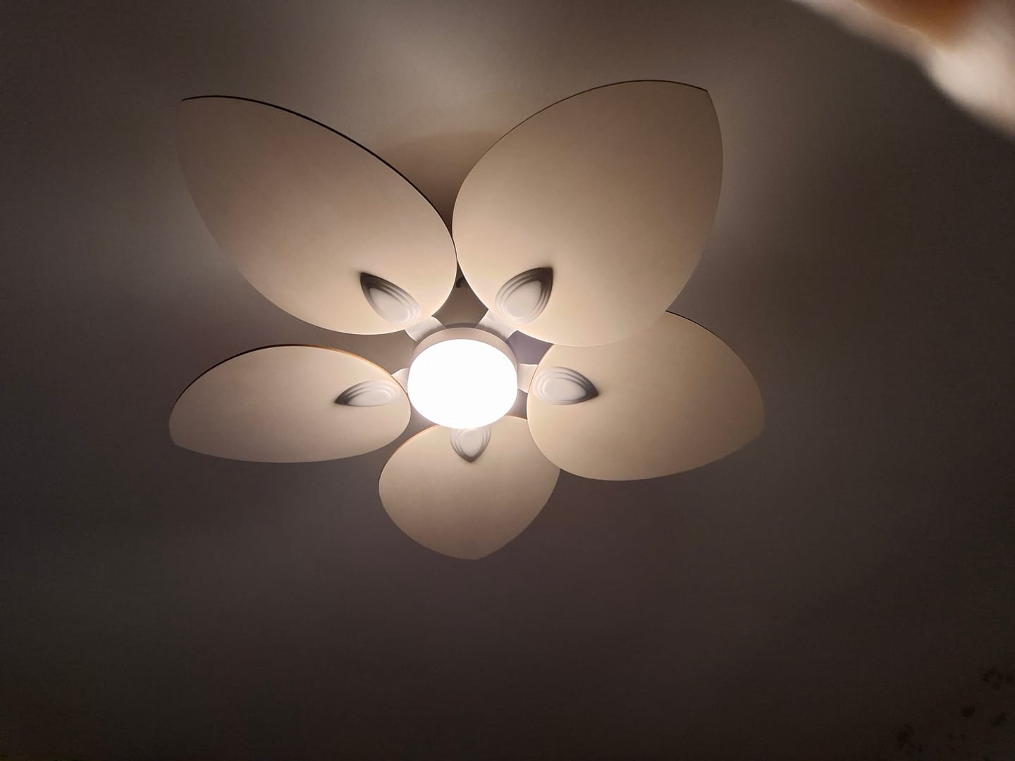 Photo de Nathalie S., chez elle ou chez lui