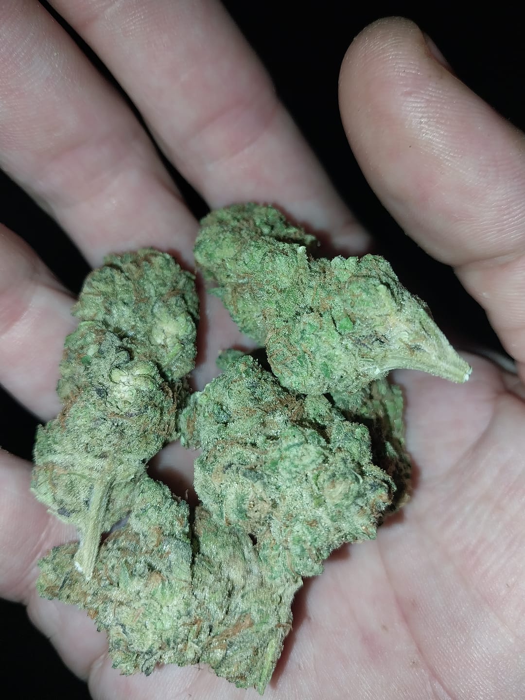 Customer photo review of Big League Choo THCA Flower