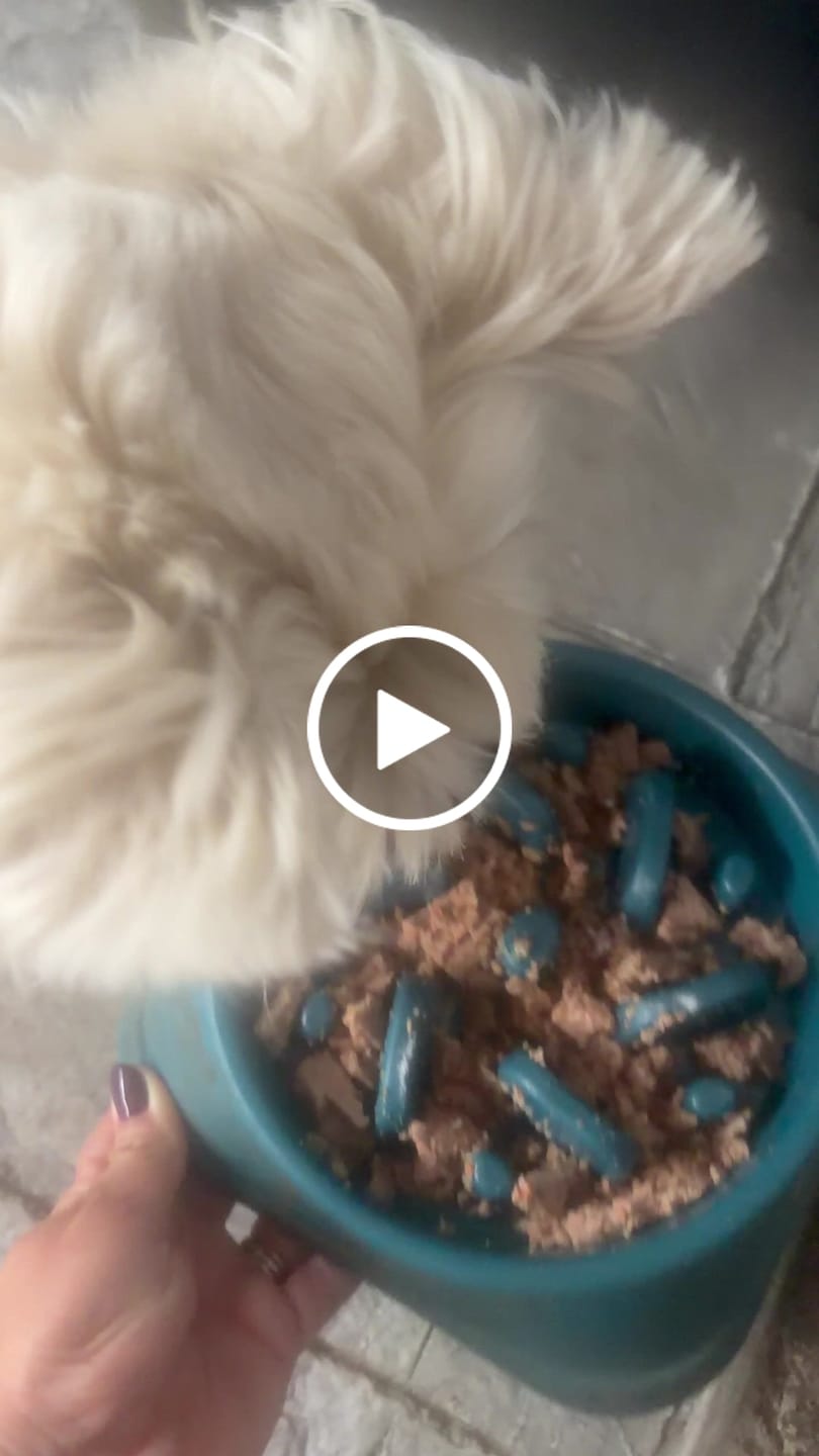 Customer video review of Wild Pork
