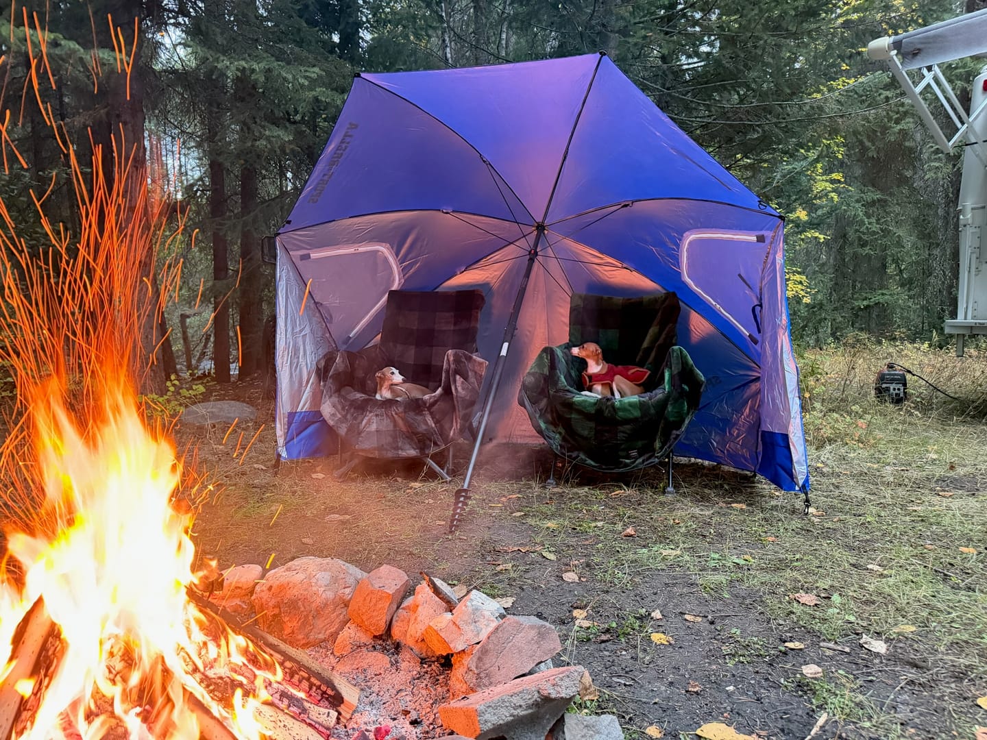 Customer photo review of The Chair Blanket Deluxe