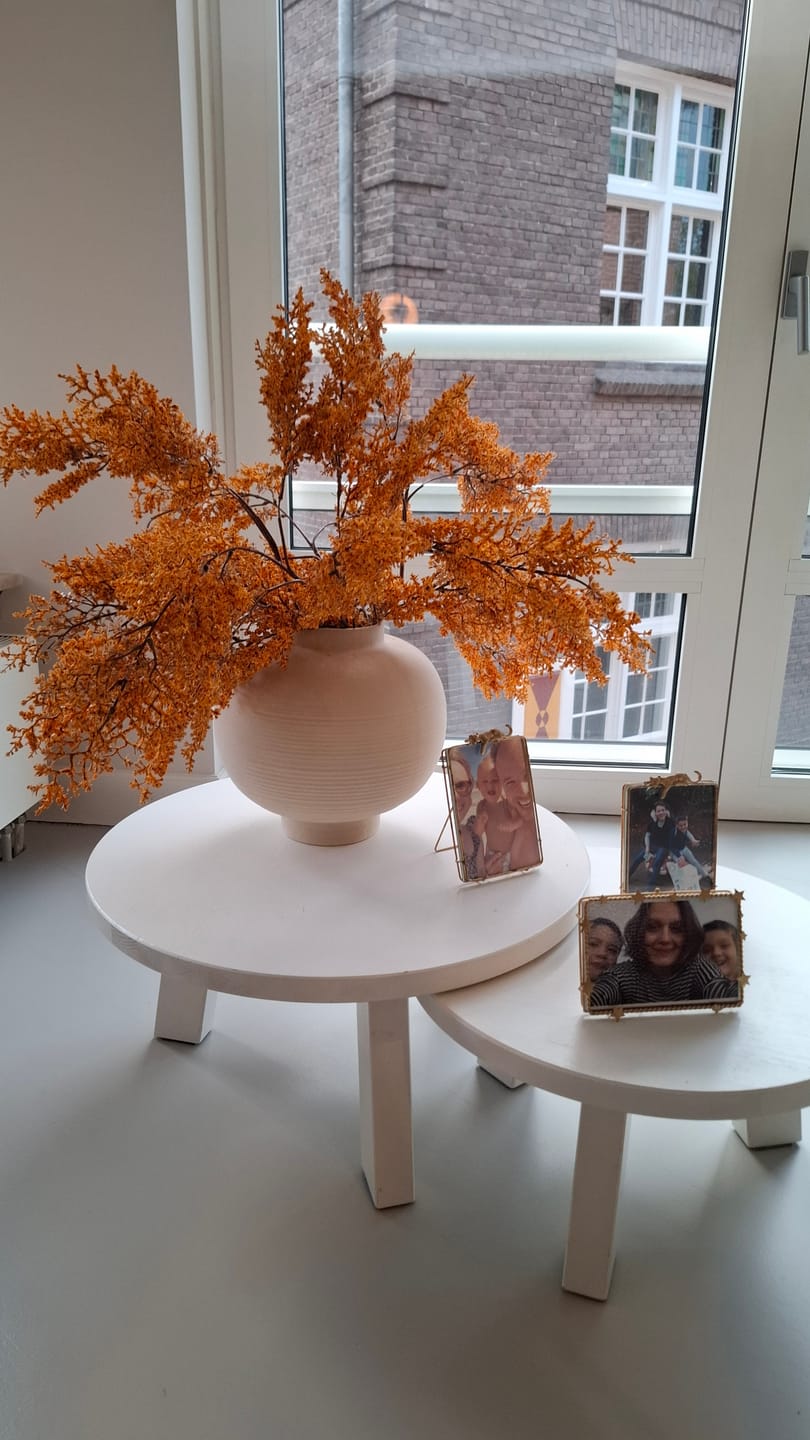 Customer photo review of Herfst takken - Oranje