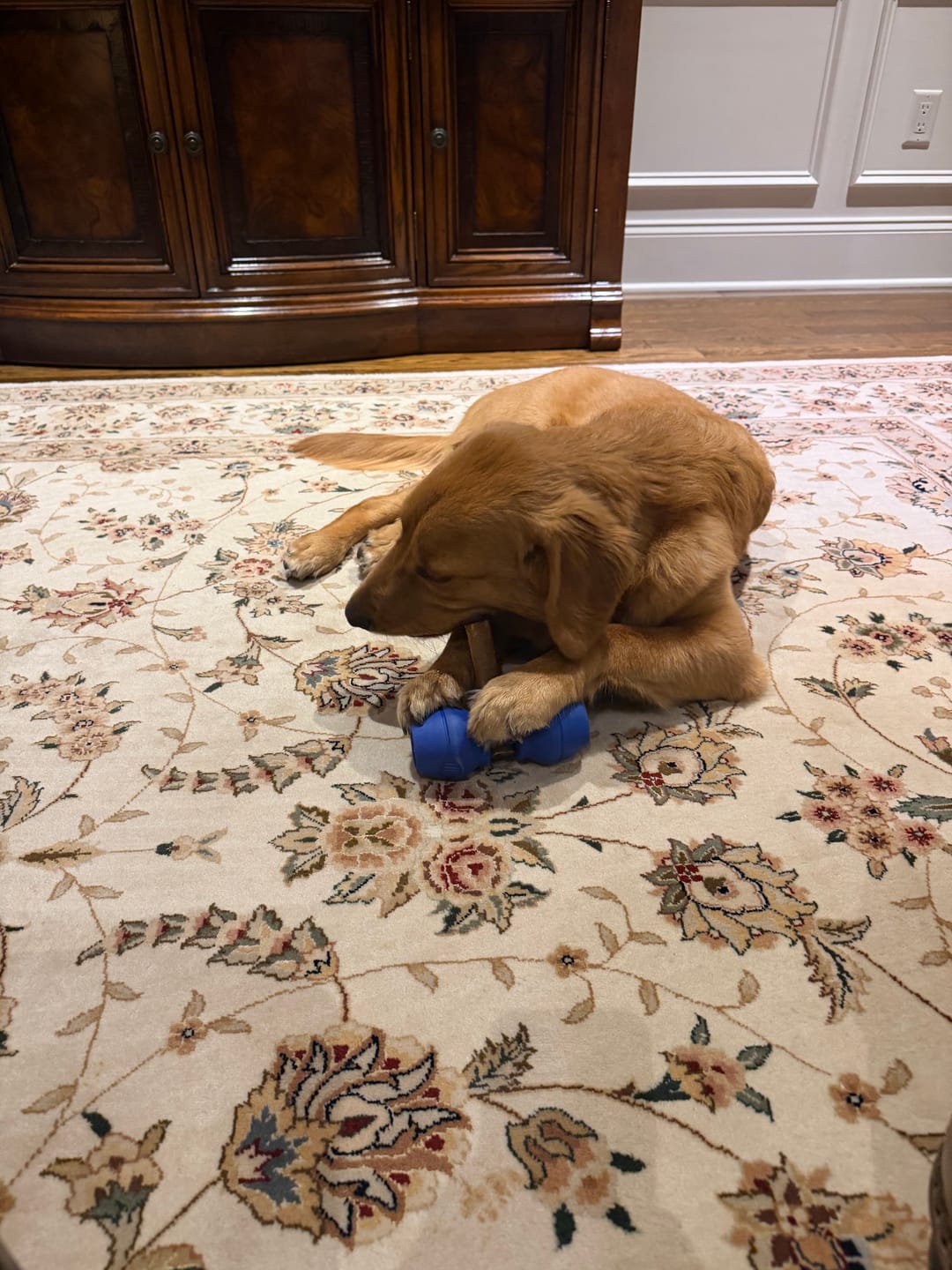 Customer photo review of Super Bull Sticks
