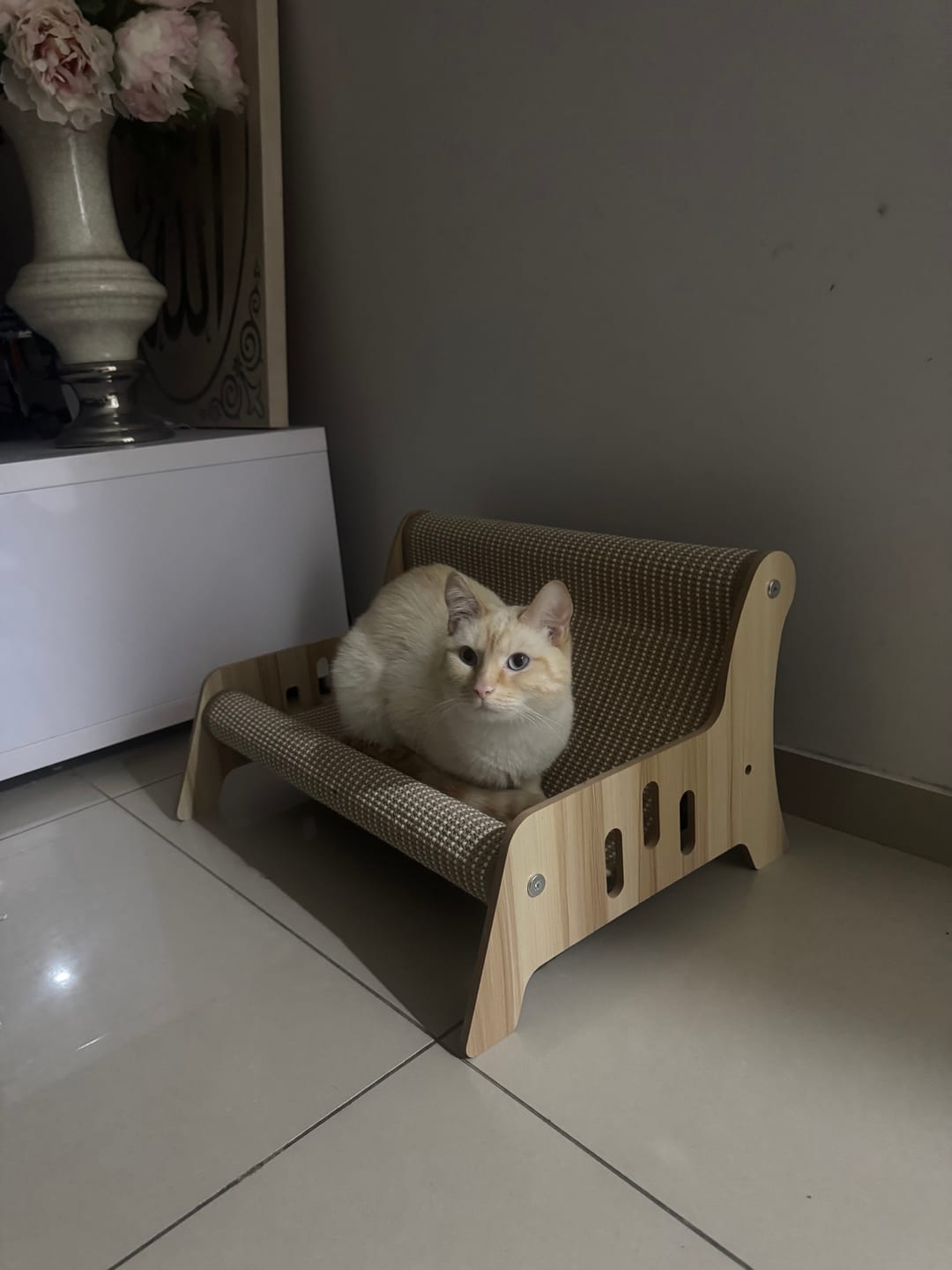 Customer photo review of Cat Scratcher Bed 2 in 1 Rest Lounge Chair Cardboard Kittens Scratching Pad