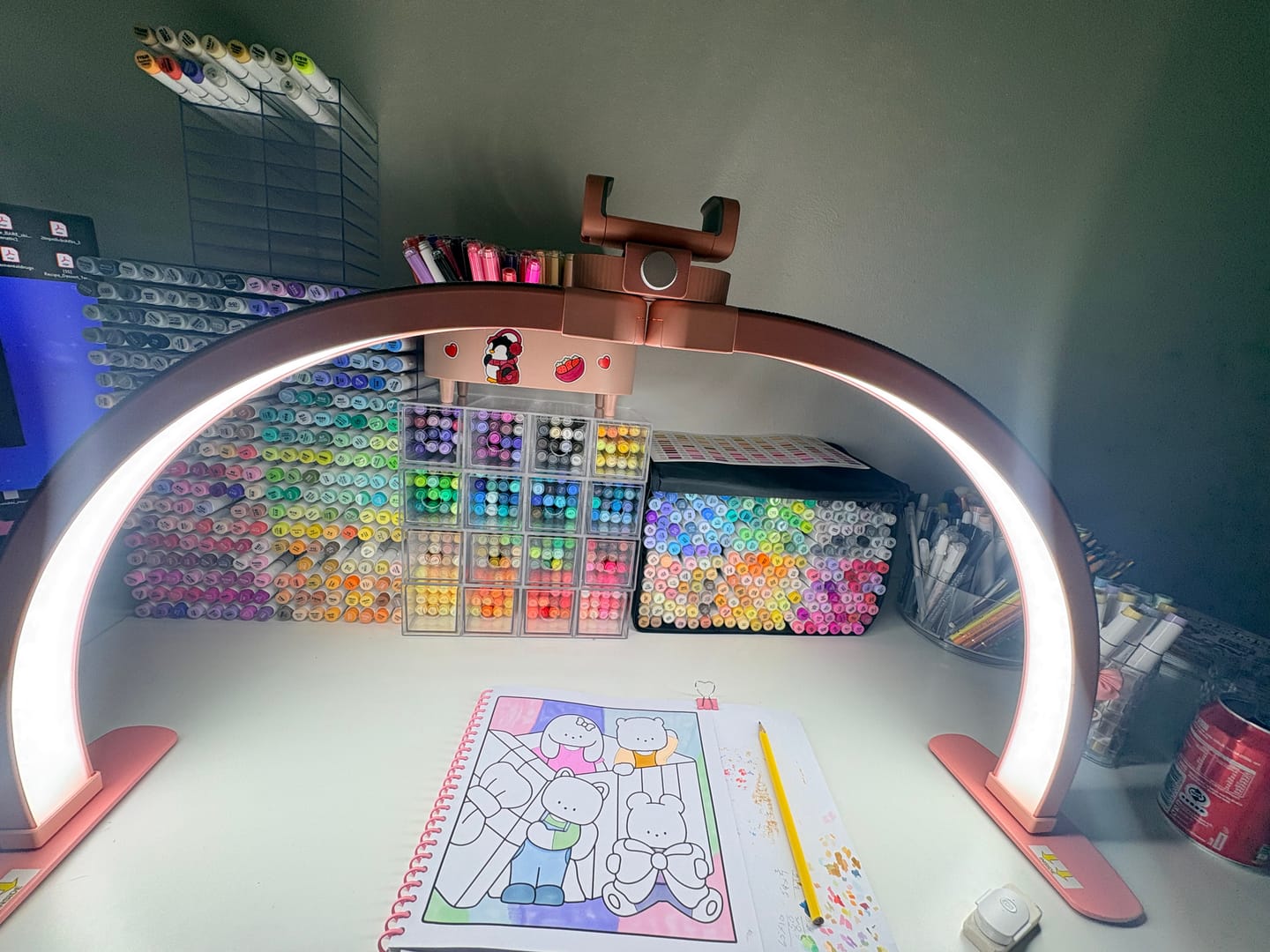 Customer photo review of Ohuhu Honolulu 216 Colors Dual Tips Alcohol Art Markers (New Color Codes)