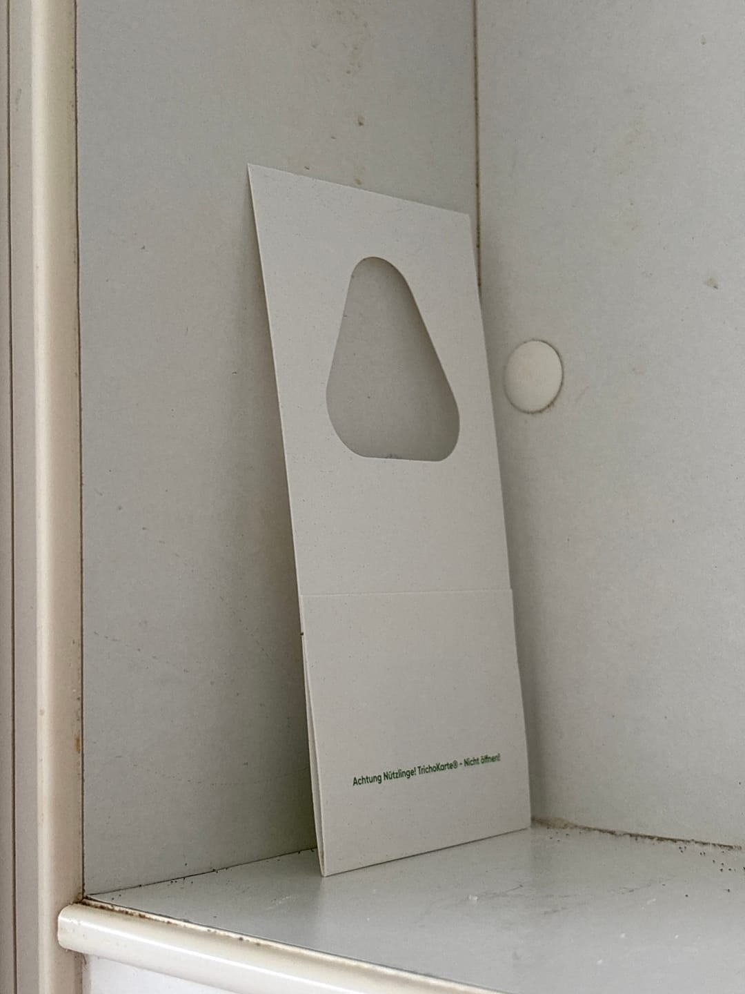 Customer photo review of Schlupfwespen gegen Lebensmittelmotten