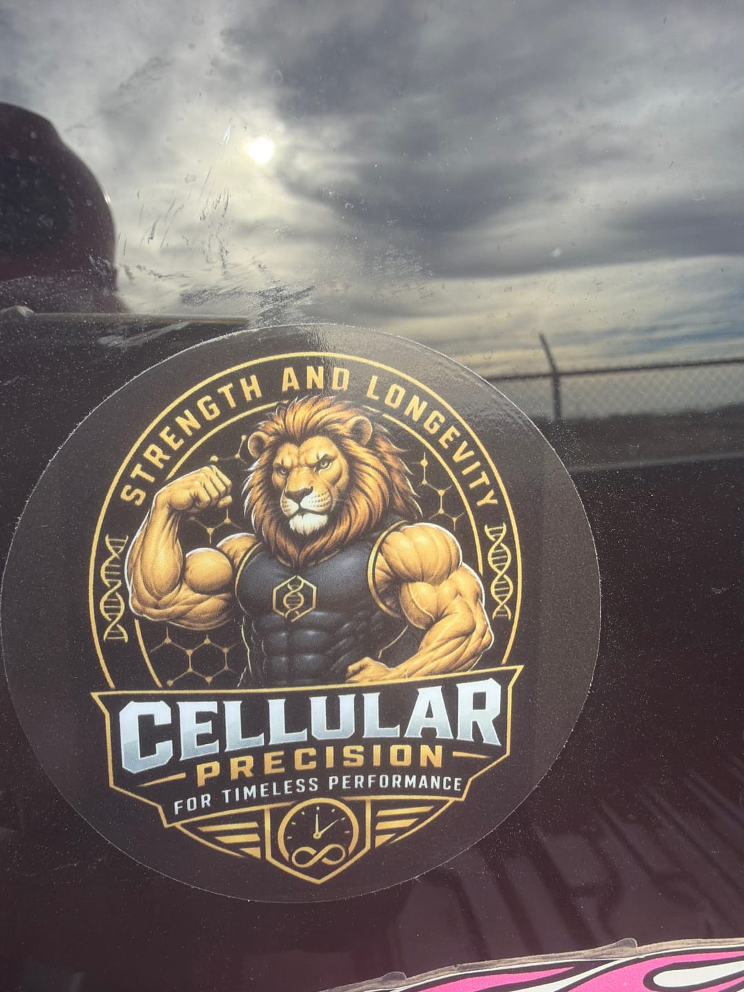 Customer photo review of 50 Custom Stickers for $19