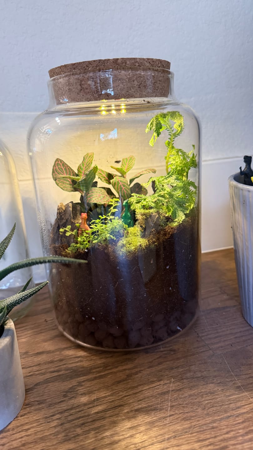 Customer photo review of Light Up Terrarium Kit