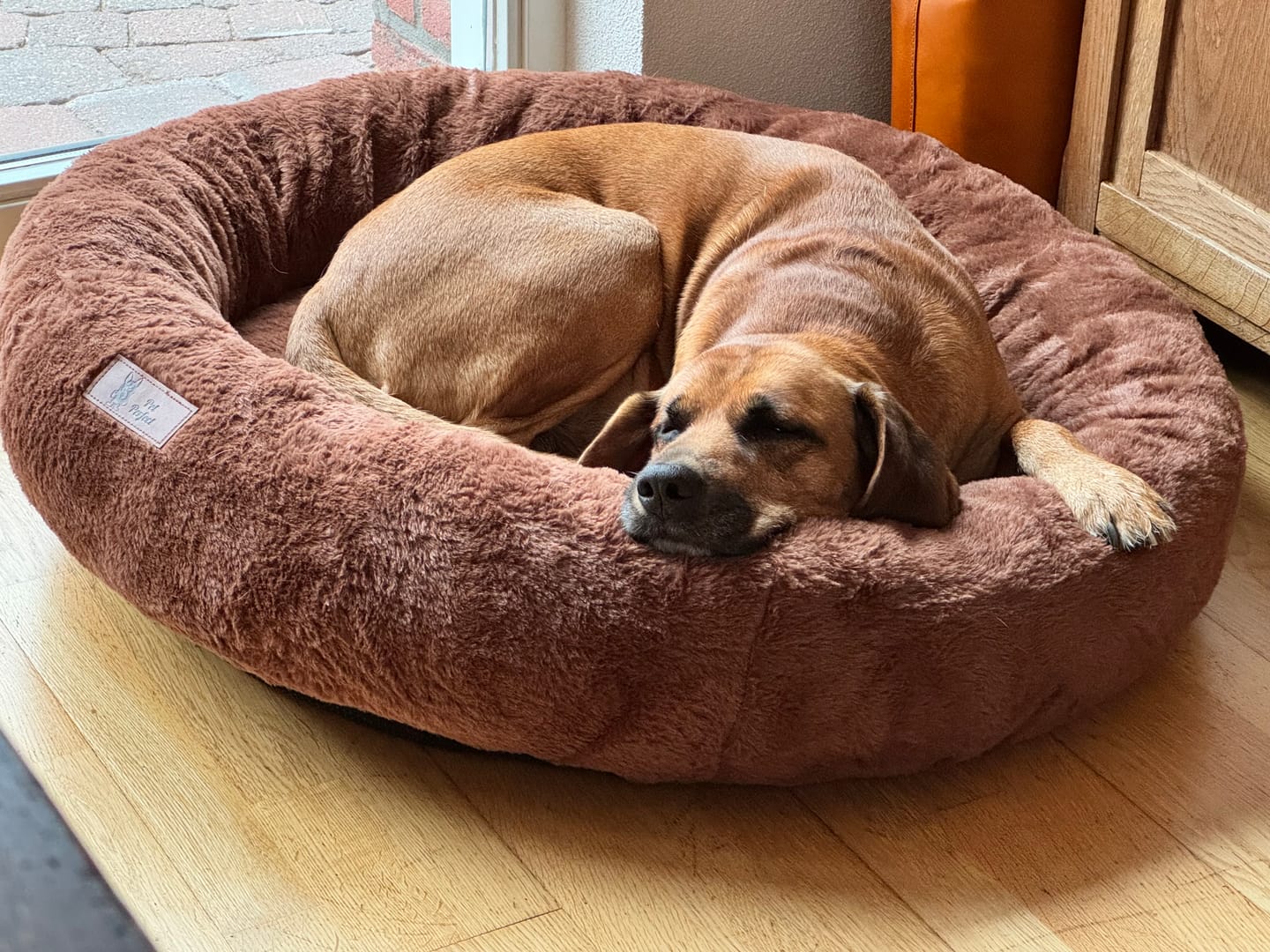 Customer photo review of Pet Perfect Orthopedische Donutmand