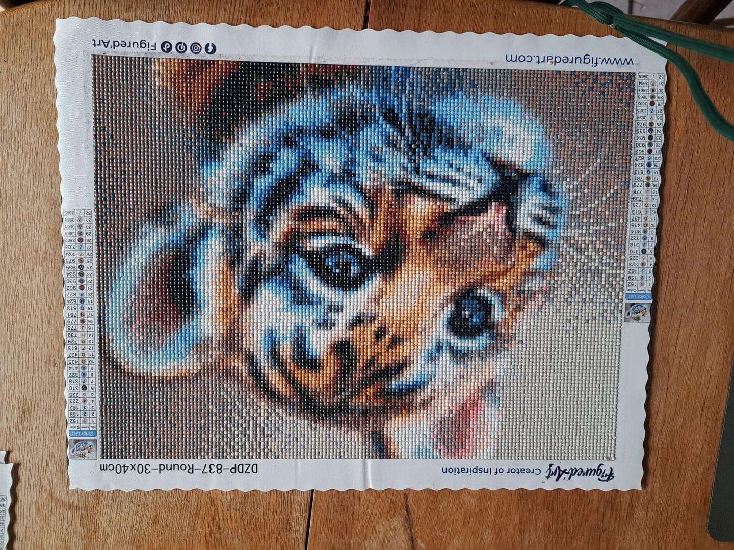 Customer photo review of Broderie Diamant - Bébé Tigre