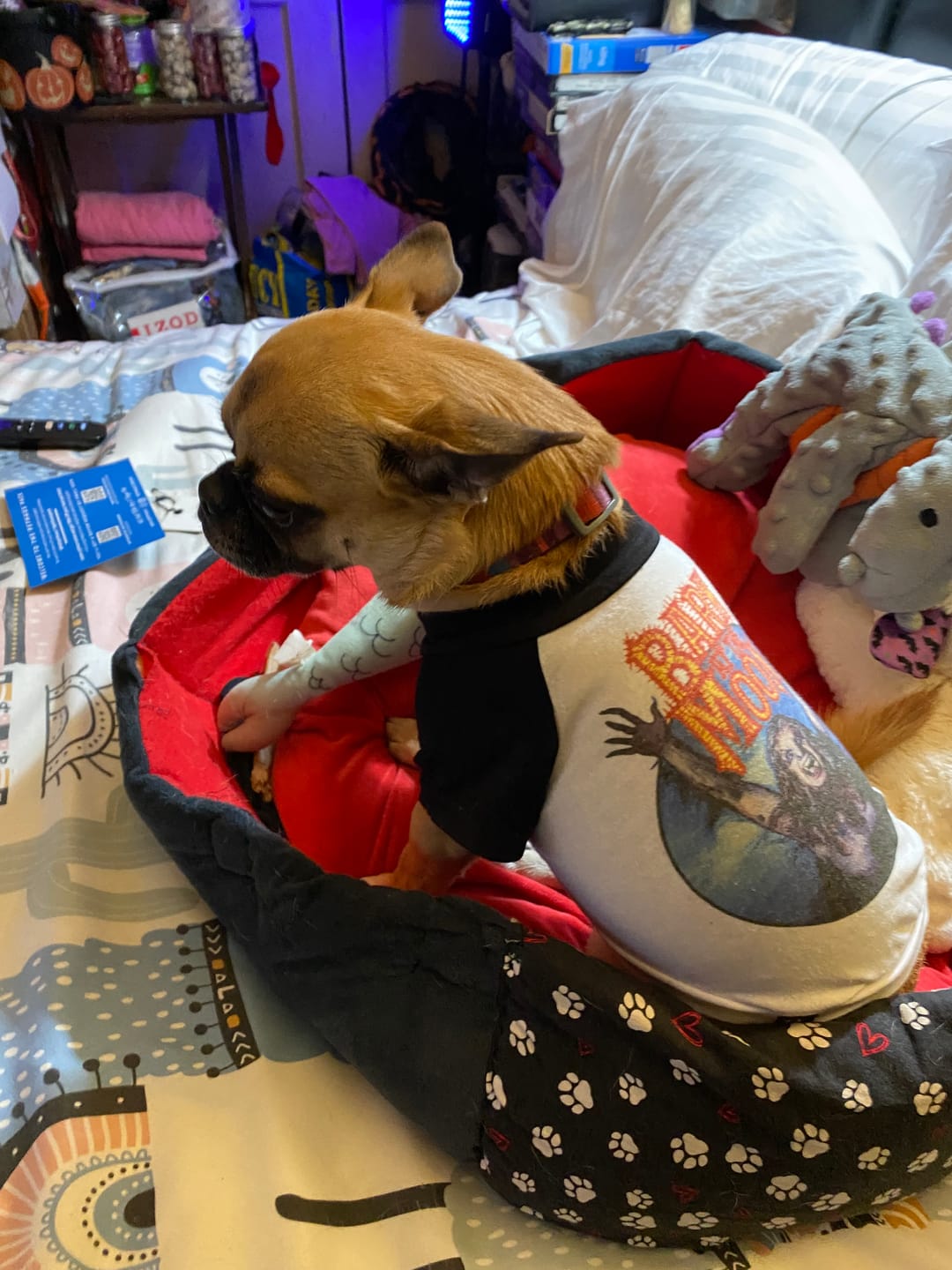 Customer photo review of Bark At The Moon Raglan Dog Tee