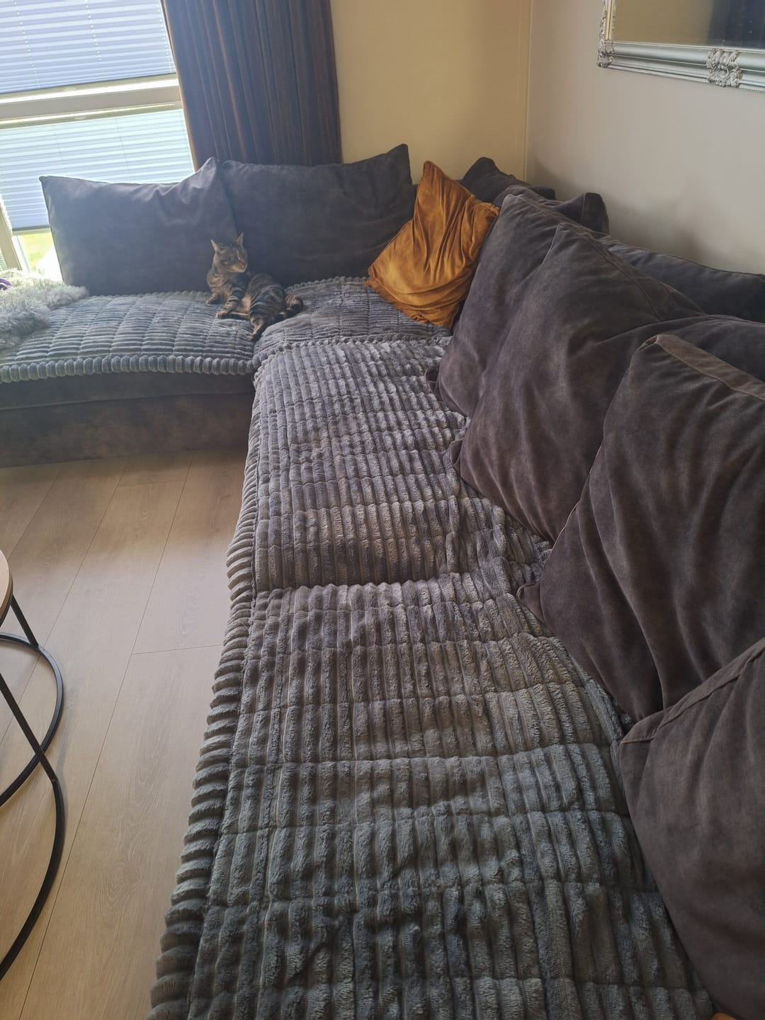Customer photo review of Koselig Sofatrekk – Hundens favorittplass