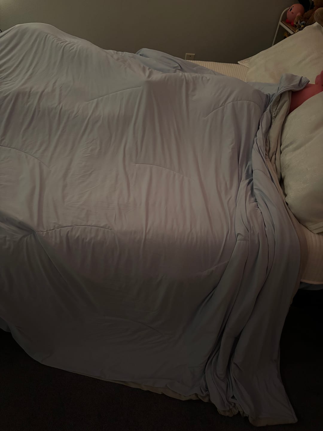Customer photo review of CloudCool™ Cooling Comforter