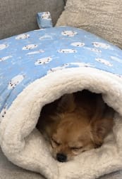Customer photo review of Cozy Pup Pod