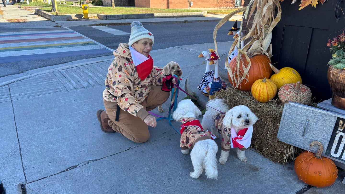 Customer photo review of The Canada Dog Hoodie
