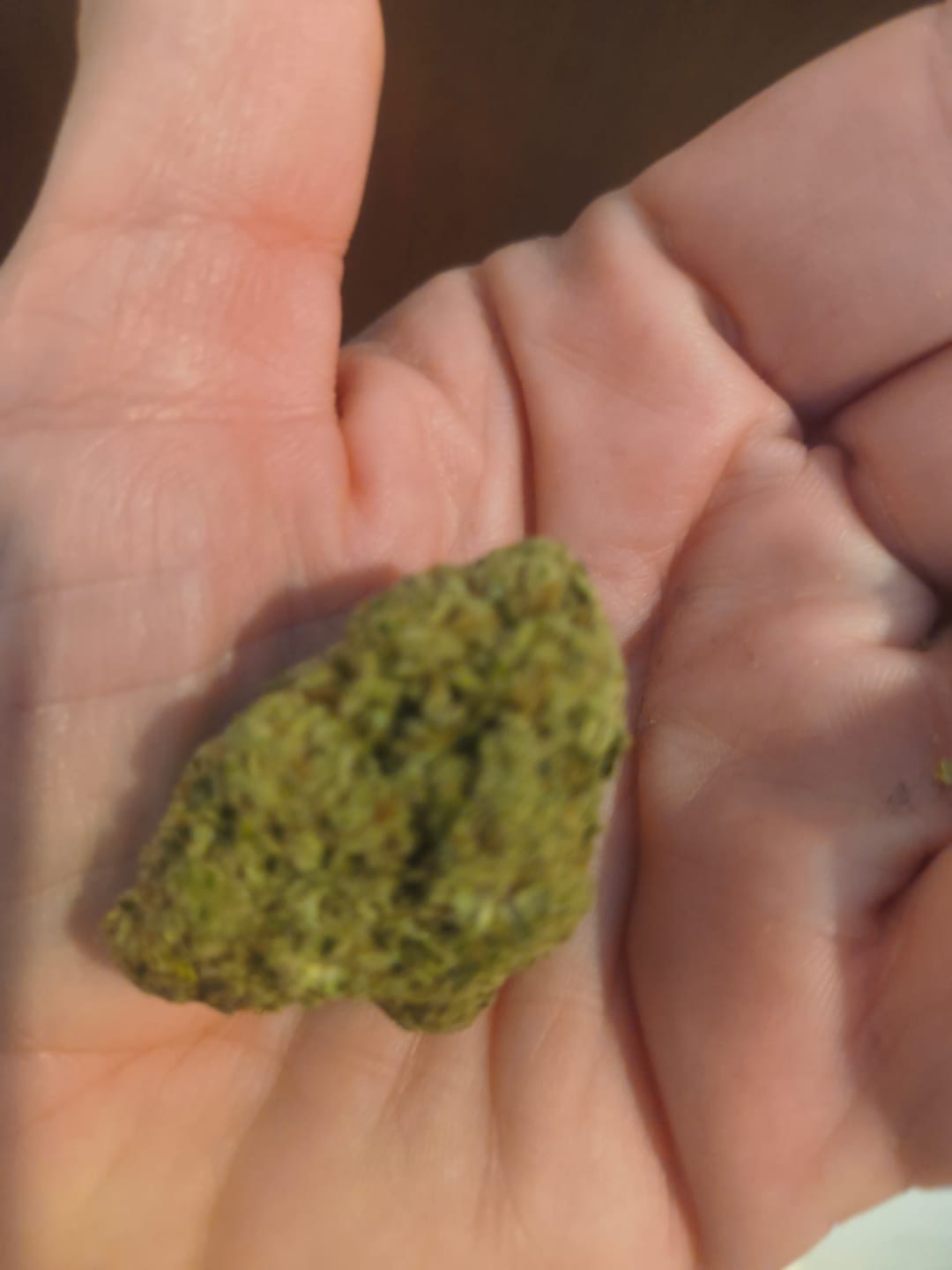Customer photo review of Strawberry Cough THCA Flower