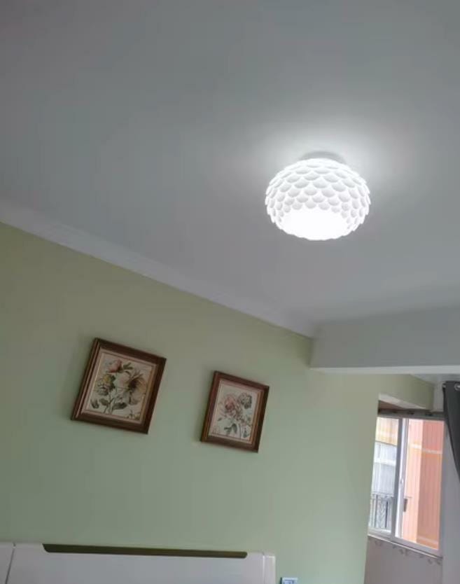 Customer photo review of Fish-Scale Oval Ceiling Light, White Metal Body, Hardwired