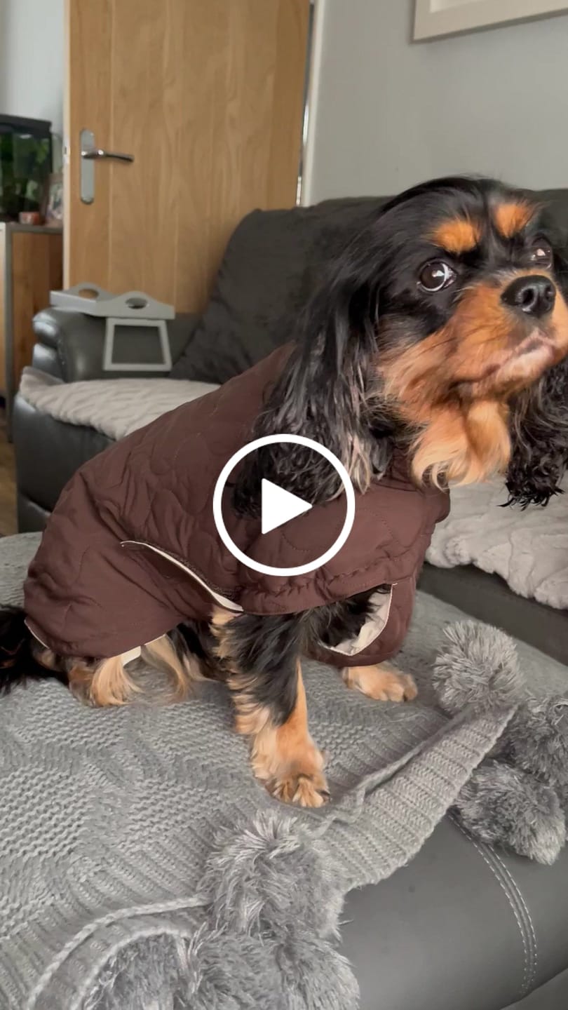Customer video review of Chocolate | The Capsule Quilted Coat
