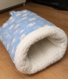 Customer photo review of Cozy Pup Pod