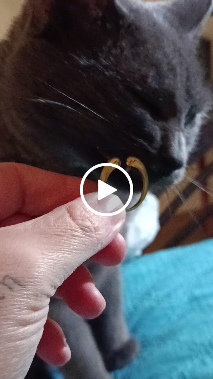 Customer video review of Lovebirds Ring